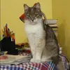 Отзыв от Катюша Севастьянова